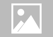 我在我的小说里重生了（小说推荐大全）